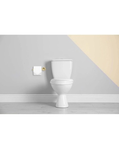 Держатель туалетной бумаги Rea Mist REA-80026