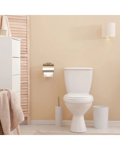 Держатель туалетной бумаги Rea Mist REA-80080