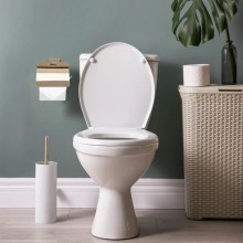 Держатель туалетной бумаги Rea Mist REA-80080