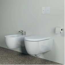 Держатель туалетной бумаги Ideal Standard Conca T4497GN