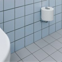 Держатель запасного рулона Kludi Ambienta 5397205 Хром