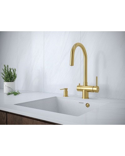 Дозатор для моющего средства Paulmark Brevit D005-G Золото