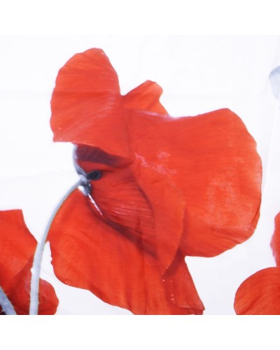 Штора для ванны WasserKRAFT Main 180x200 SC-47101 Белая