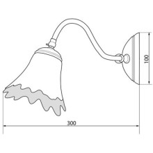 Светильник двойной Caprigo 7015/2F-VOT V2700