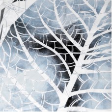 Штора для ванны WasserKRAFT Glan 180х200 SC-51101 Листья