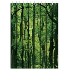 Штора для ванны Haiba HB74060 Лес