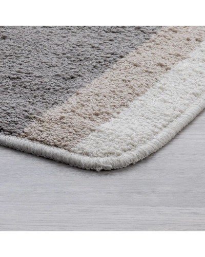 Коврик IDDIS Promo P26C465i12