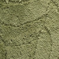 Набор ковриков IDDIS Promo P45M558i13