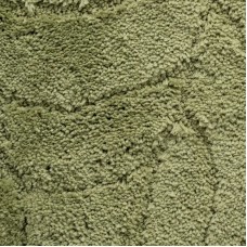 Набор ковриков IDDIS Promo P45M558i13