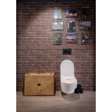 Инсталляция Jacob Delafon E24156-NF для унитаза без клавиши смыва