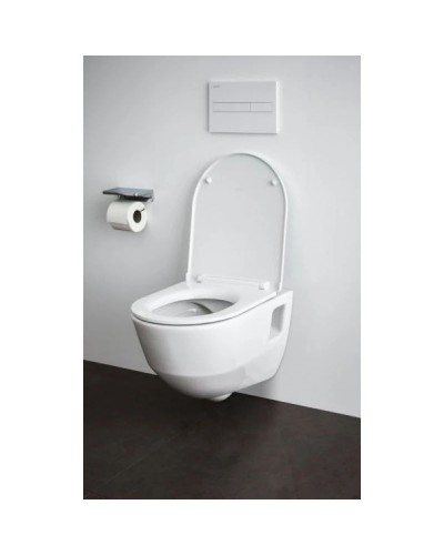 Комплект подвесной унитаз Laufen Pro 8.2096.6.000.000.1 + 8.9896.6.000.000.1 + система инсталляции Geberit 111.362.00.5