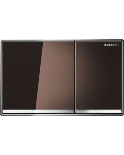 Смывная клавиша Geberit Omega60 стекло цвета умбры для двойного смыва 115.081.SQ.1