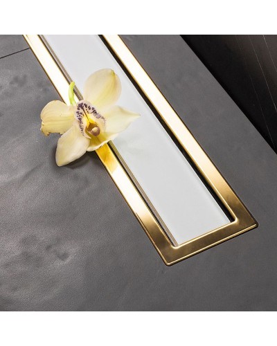 Душевой лоток Pestan Confluo Premium Line 450 White Glass Gold 13100120 с решеткой Белый глянцевый Золото глянцевое