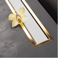 Душевой лоток Pestan Confluo Premium Line 650 White Glass Gold 13100122 с решеткой Белый глянцевый Золото глянцевое