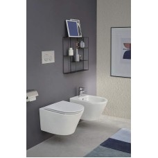 Клавиша смыва Jacob Delafon E20859-00-MWH Белая матовая Белая глянцевая