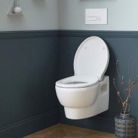 Клавиша смыва Jacob Delafon E4326-00 Белая