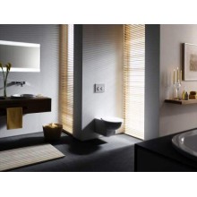 Клавиша смыва Geberit Omega 20 115.085.JQ.1 Матовый хром