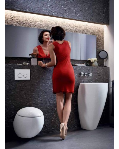 Клавиша смыва Geberit Omega 20 115.085.KH.1 Глянцевый хром