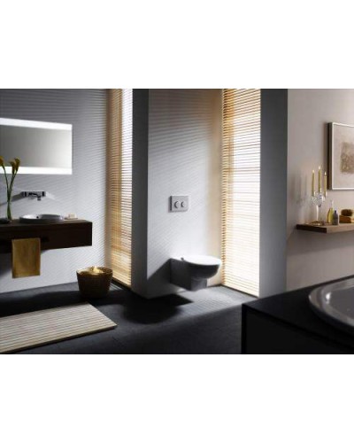 Клавиша смыва Geberit Omega 20 115.085.KH.1 Глянцевый хром