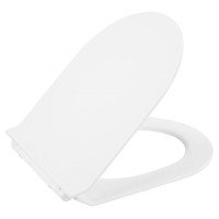 Сиденье для унитаза с микролифтом BelBagno BB2009SC