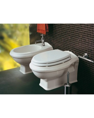 Сиденье для унитаза Simas Arcade AR003bi/br