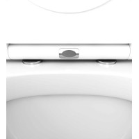 Сиденье для унитаза AM.PM Spirit V2.0 C707857WH Белое с микролифтом