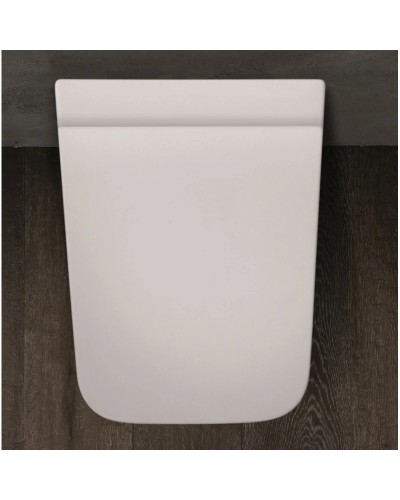 Сидение для унитаза с микролифтом Simas Degrade DE006bi/cr