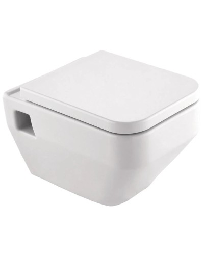 Сиденье для унитаза с микролифтом Excellent Rivel CEAC.1708.500.WH