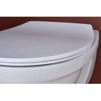 Сиденье для унитаза Jacob Delafon Patio E23157-00 Белое с микролифтом