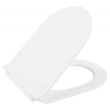 Сиденье для унитаза с микролифтом BelBagno Flay-R BB2111SC