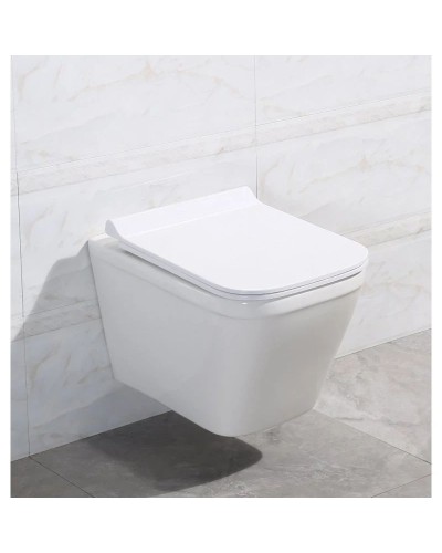 Сиденье для унитаза с микролифтом BelBagno Dory BB2138SC