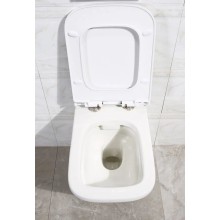 Сиденье для унитаза с микролифтом BelBagno Dory BB2138SC