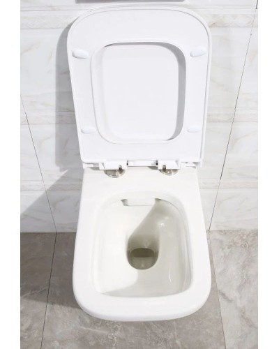 Сиденье для унитаза с микролифтом BelBagno Dory BB2138SC