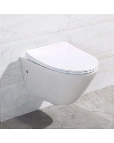 Сиденье для унитаза с микролифтом BelBagno Alpha BB2177SC