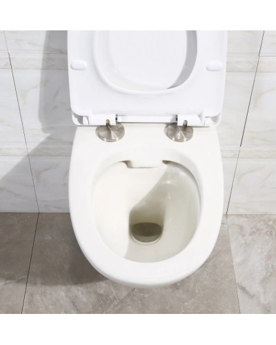 Сиденье для унитаза с микролифтом BelBagno Alpha BB2177SC