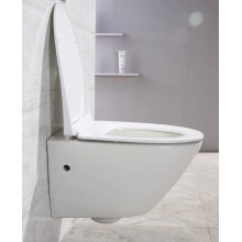Сиденье для унитаза с микролифтом BelBagno Alpha BB2177SC