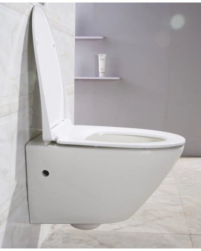 Сиденье для унитаза с микролифтом BelBagno Alpha BB2177SC