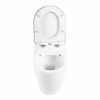 Сиденье для унитаза BelBagno Marino BB105SC Белое с Микролифтом