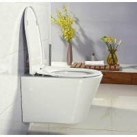 Сиденье для унитаза BelBagno BB2031SC Белое с Микролифтом