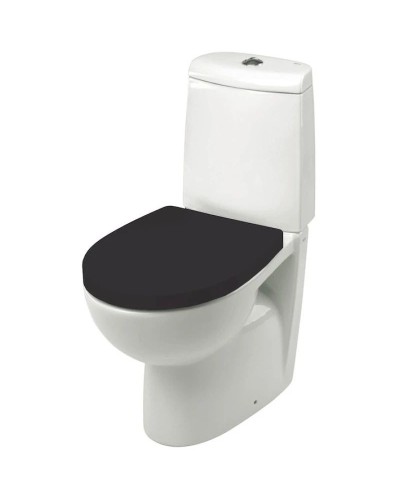 Сиденье для унитаза Roca Victoria Nord ZRU9000102