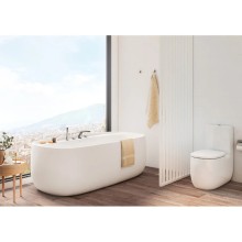 Сиденье для унитаза с микролифтом Roca Beyond 801B8200B