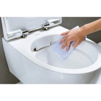 Сиденье для унитаза с микролифтом Geberit Acanto 500.605.01.2