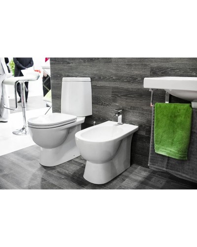 Сиденье для унитаза с микролифтом Sanita Luxe Amalfi 8033576430416