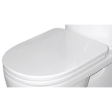 Сиденье для унитаза с микролифтом Sanita Luxe Amalfi 8033576430416