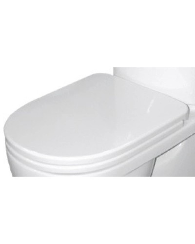 Сиденье для унитаза с микролифтом Sanita Luxe Amalfi 8033576430416