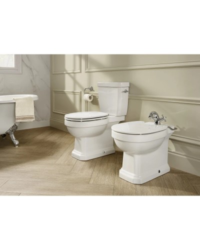 Сиденье для унитаза с микролифтом Roca Carmen 801B5200B