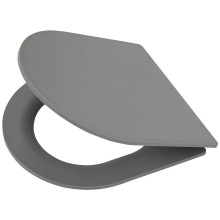 Сиденье для унитаза с микролифтом BelBagno Colorato BB062SC-GR