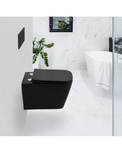 Сиденье для унитаза с микролифтом BelBagno Ardente-C BB3202SC-MB