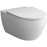 Сиденье для унитаза с микролифтом Am.Pm Awe C117853WH