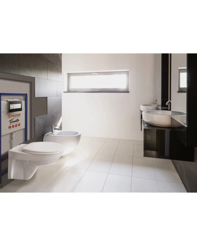 Сиденье для унитаза с микролифтом Pestan Basic 40006460S